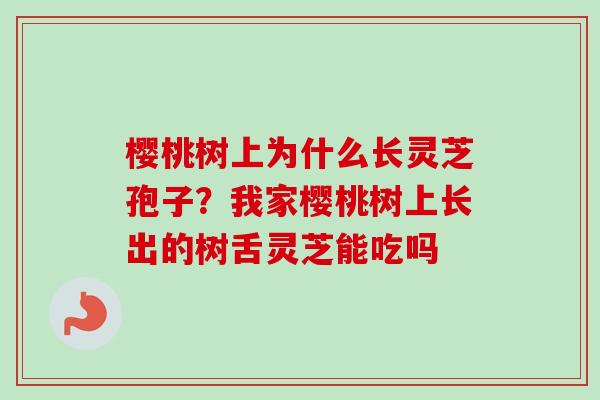 樱桃树上为什么长灵芝孢子?我家樱桃树上长出的树舌灵芝能吃吗-第1张图片-卓越灵芝孢子粉 樱桃树上为什么长灵芝孢子?我家樱桃树上长出的树舌灵芝能吃吗-第1张图片-卓越灵芝孢子粉