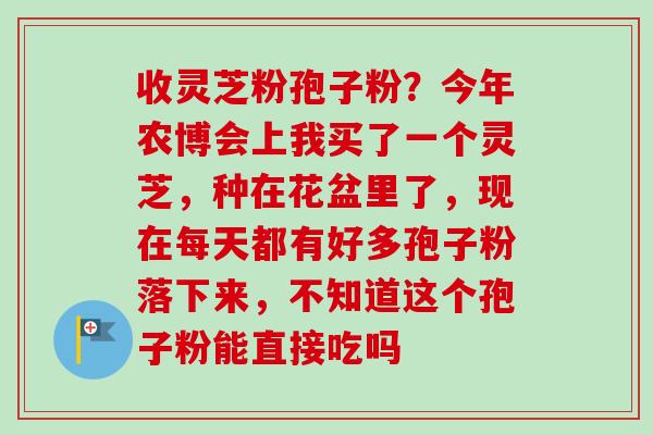 收灵芝粉孢子粉？今年农博会上我买了一个灵芝，种在花盆里了，现在每天都有好多孢子粉落下来，不知道这个孢子粉能直接吃吗-第1张图片-卓越灵芝孢子粉
