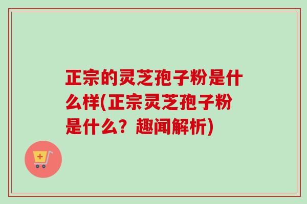 正宗的灵芝孢子粉是什么样(正宗灵芝孢子粉是什么?趣闻解析)-第1张图片-卓越灵芝孢子粉 正宗的灵芝孢子粉是什么样(正宗灵芝孢子粉是什么?趣闻解析)-第1张图片-卓越灵芝孢子粉