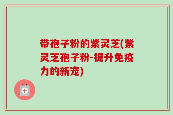 带孢子粉的紫灵芝(紫灵芝孢子粉-提升免疫力的新宠)-第1张图片-卓越灵芝孢子粉