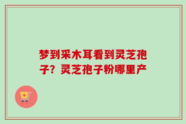 梦到采木耳看到灵芝孢子?灵芝孢子粉哪里产-第1张图片-卓越灵芝孢子粉 梦到采木耳看到灵芝孢子?灵芝孢子粉哪里产-第1张图片-卓越灵芝孢子粉