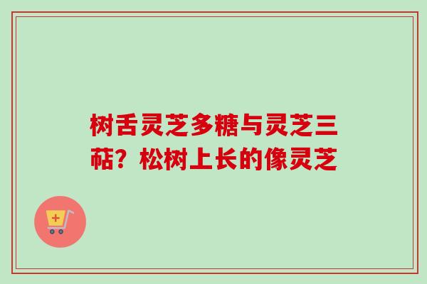 树舌灵芝多糖与灵芝三萜?松树上长的像灵芝-第1张图片-卓越灵芝孢子粉 树舌灵芝多糖与灵芝三萜?松树上长的像灵芝-第1张图片-卓越灵芝孢子粉