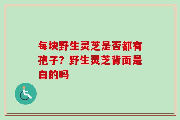 每块野生灵芝是否都有孢子?野生灵芝背面是白的吗-第1张图片-卓越灵芝孢子粉 每块野生灵芝是否都有孢子?野生灵芝背面是白的吗-第1张图片-卓越灵芝孢子粉