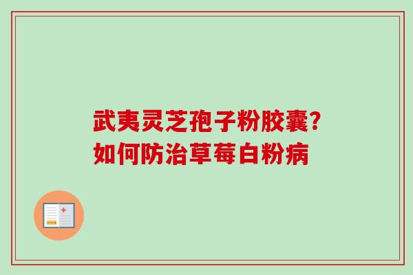 武夷灵芝孢子粉胶囊？如何防治草莓白粉病-第1张图片-卓越灵芝孢子粉