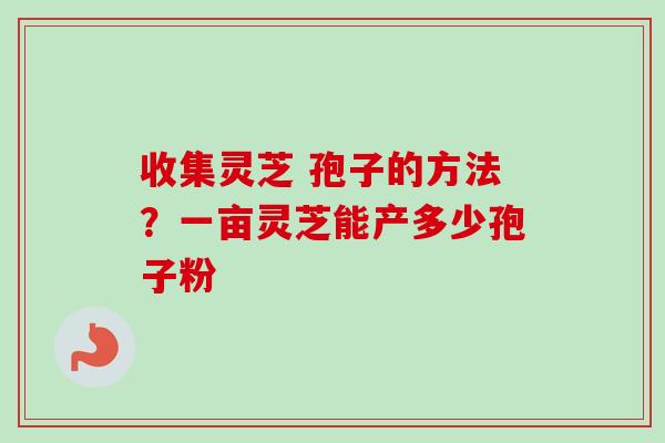 收集灵芝 孢子的方法?一亩灵芝能产多少孢子粉-第1张图片-卓越灵芝孢子粉 收集灵芝 孢子的方法?一亩灵芝能产多少孢子粉-第1张图片-卓越灵芝孢子粉
