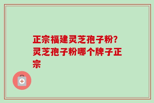 正宗福建灵芝孢子粉?灵芝孢子粉哪个牌子正宗-第1张图片-卓越灵芝孢子粉 正宗福建灵芝孢子粉?灵芝孢子粉哪个牌子正宗-第1张图片-卓越灵芝孢子粉