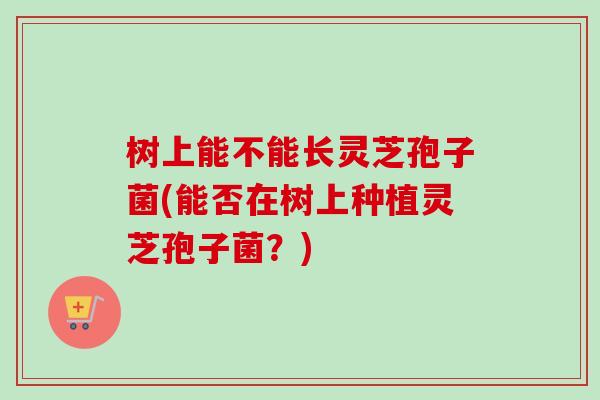 树上能不能长灵芝孢子菌(能否在树上种植灵芝孢子菌?)-第1张图片-卓越灵芝孢子粉 树上能不能长灵芝孢子菌(能否在树上种植灵芝孢子菌?)-第1张图片-卓越灵芝孢子粉