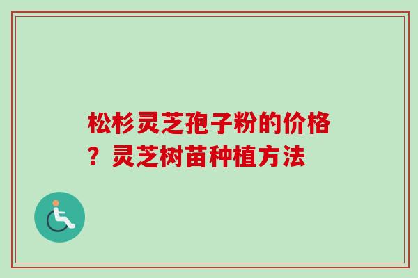 松杉灵芝孢子粉的价格？灵芝树苗种植方法-第1张图片-卓越灵芝孢子粉