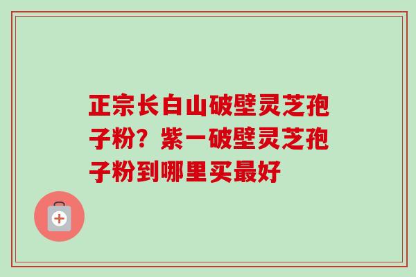 正宗长白山破壁灵芝孢子粉？紫一破壁灵芝孢子粉到哪里买最好-第1张图片-卓越灵芝孢子粉