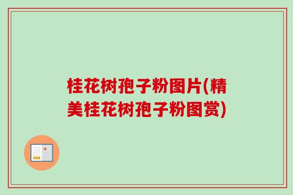 桂花树孢子粉图片(精美桂花树孢子粉图赏)-第1张图片-卓越灵芝孢子粉