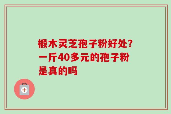 椴木灵芝孢子粉好处?一斤40多元的孢子粉是真的吗-第1张图片-卓越灵芝孢子粉 椴木灵芝孢子粉好处?一斤40多元的孢子粉是真的吗-第1张图片-卓越灵芝孢子粉