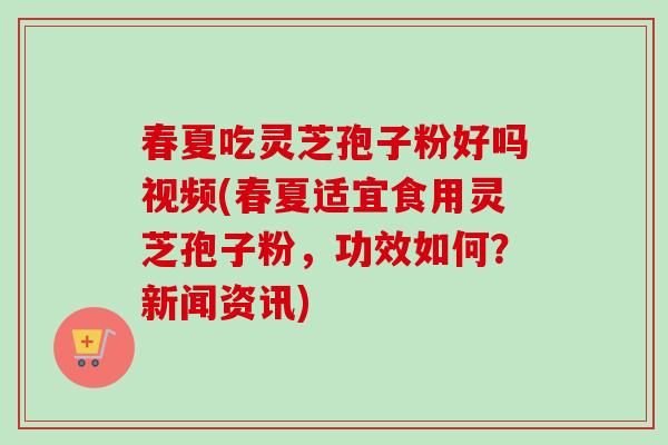 春夏吃灵芝孢子粉好吗视频(春夏适宜食用灵芝孢子粉，功效如何？新闻资讯)-第1张图片-卓越灵芝孢子粉