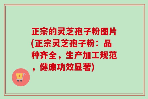 正宗的灵芝孢子粉图片(正宗灵芝孢子粉:品种齐全,生产加工规范,健康功效显著)-第1张图片-卓越灵芝孢子粉 正宗的灵芝孢子粉图片(正宗灵芝孢子粉:品种齐全,生产加工规范,健康功效显著)-第1张图片-卓越灵芝孢子粉