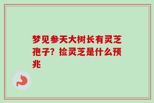 梦见参天大树长有灵芝孢子?捡灵芝是什么预兆-第1张图片-卓越灵芝孢子粉 梦见参天大树长有灵芝孢子?捡灵芝是什么预兆-第1张图片-卓越灵芝孢子粉