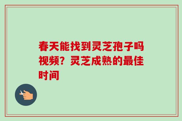 春天能找到灵芝孢子吗视频？灵芝成熟的最佳时间-第1张图片-卓越灵芝孢子粉