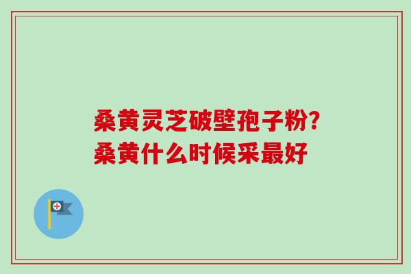 桑黄灵芝破壁孢子粉?桑黄什么时候采最好-第1张图片-卓越灵芝孢子粉 桑黄灵芝破壁孢子粉?桑黄什么时候采最好-第1张图片-卓越灵芝孢子粉