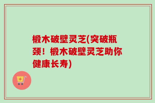 椴木破壁灵芝(突破瓶颈！椴木破壁灵芝助你健康长寿)-第1张图片-卓越灵芝孢子粉