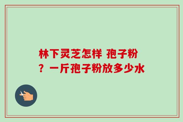 林下灵芝怎样 孢子粉?一斤孢子粉放多少水-第1张图片-卓越灵芝孢子粉 林下灵芝怎样 孢子粉?一斤孢子粉放多少水-第1张图片-卓越灵芝孢子粉