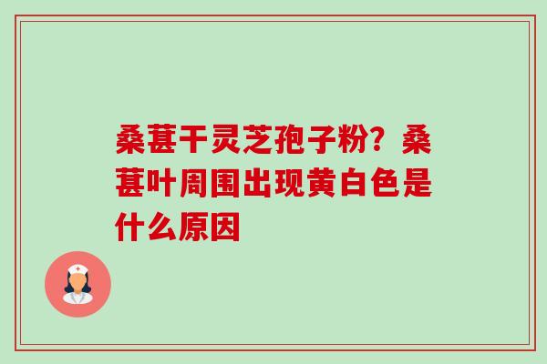 桑葚干灵芝孢子粉?桑葚叶周围出现黄白色是什么原因-第1张图片-卓越灵芝孢子粉 桑葚干灵芝孢子粉?桑葚叶周围出现黄白色是什么原因-第1张图片-卓越灵芝孢子粉