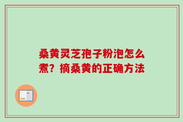 桑黄灵芝孢子粉泡怎么煮?摘桑黄的正确方法-第1张图片-卓越灵芝孢子粉 桑黄灵芝孢子粉泡怎么煮?摘桑黄的正确方法-第1张图片-卓越灵芝孢子粉