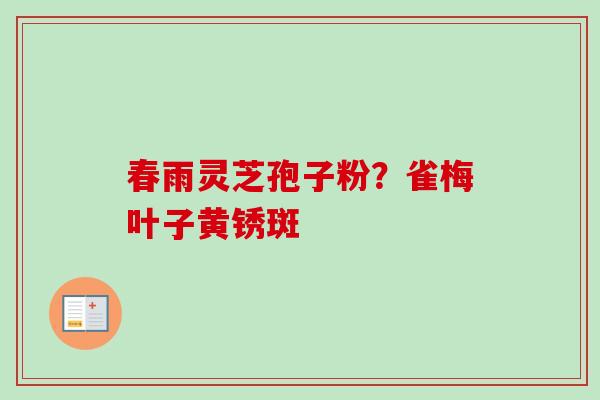 春雨灵芝孢子粉?雀梅叶子黄锈斑-第1张图片-卓越灵芝孢子粉 春雨灵芝孢子粉?雀梅叶子黄锈斑-第1张图片-卓越灵芝孢子粉
