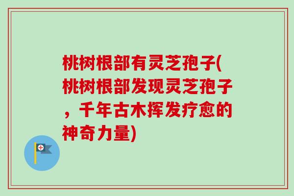 桃树根部有灵芝孢子(桃树根部发现灵芝孢子,千年古木挥发疗愈的神奇力量)-第1张图片-卓越灵芝孢子粉 桃树根部有灵芝孢子(桃树根部发现灵芝孢子,千年古木挥发疗愈的神奇力量)-第1张图片-卓越灵芝孢子粉