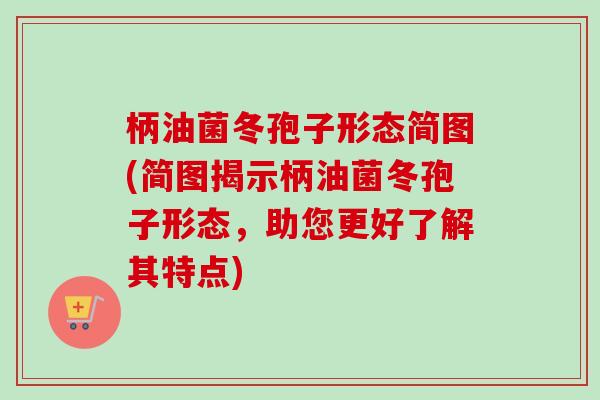 柄油菌冬孢子形态简图(简图揭示柄油菌冬孢子形态,助您更好了解其特点)-第1张图片-卓越灵芝孢子粉 柄油菌冬孢子形态简图(简图揭示柄油菌冬孢子形态,助您更好了解其特点)-第1张图片-卓越灵芝孢子粉