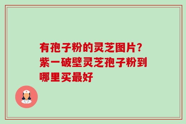有孢子粉的灵芝图片?紫一破壁灵芝孢子粉到哪里买最好-第1张图片-卓越灵芝孢子粉 有孢子粉的灵芝图片?紫一破壁灵芝孢子粉到哪里买最好-第1张图片-卓越灵芝孢子粉