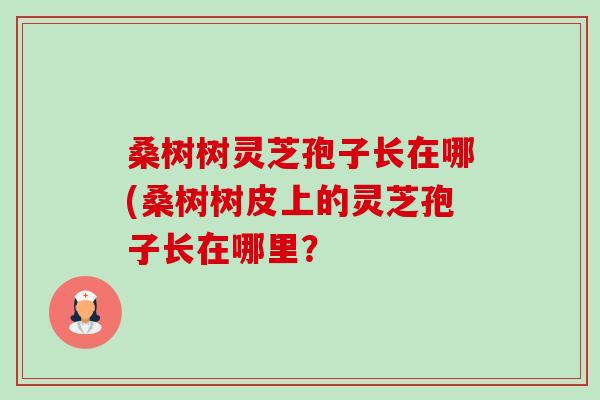 桑树树灵芝孢子长在哪(桑树树皮上的灵芝孢子长在哪里?-第1张图片-卓越灵芝孢子粉 桑树树灵芝孢子长在哪(桑树树皮上的灵芝孢子长在哪里?-第1张图片-卓越灵芝孢子粉