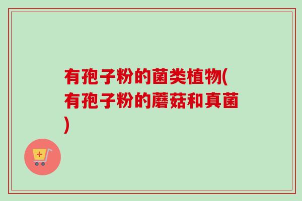 有孢子粉的菌类植物(有孢子粉的蘑菇和真菌)-第1张图片-卓越灵芝孢子粉 有孢子粉的菌类植物(有孢子粉的蘑菇和真菌)-第1张图片-卓越灵芝孢子粉
