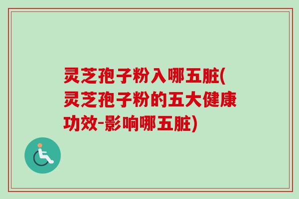 灵芝孢子粉入哪五脏(灵芝孢子粉的五大健康功效-影响哪五脏)-第1张图片-卓越灵芝孢子粉