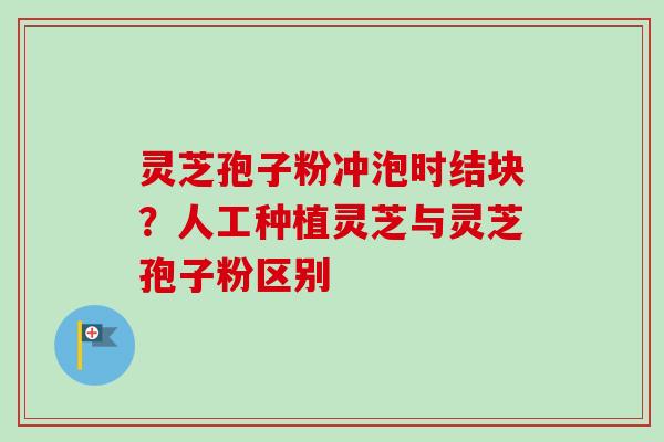 灵芝孢子粉冲泡时结块?人工种植灵芝与灵芝孢子粉区别-第1张图片-卓越灵芝孢子粉 灵芝孢子粉冲泡时结块?人工种植灵芝与灵芝孢子粉区别-第1张图片-卓越灵芝孢子粉