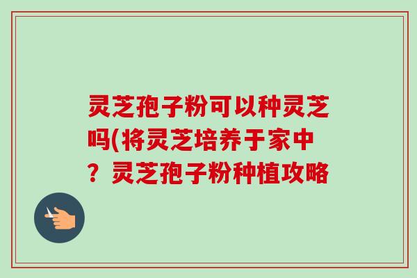 灵芝孢子粉可以种灵芝吗(将灵芝培养于家中?灵芝孢子粉种植攻略-第1张图片-卓越灵芝孢子粉 灵芝孢子粉可以种灵芝吗(将灵芝培养于家中?灵芝孢子粉种植攻略-第1张图片-卓越灵芝孢子粉