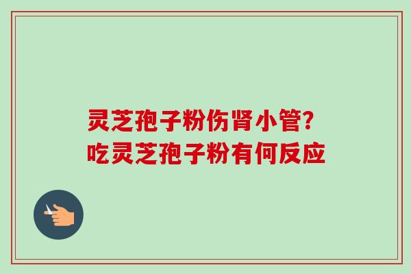 灵芝孢子粉伤肾小管?吃灵芝孢子粉有何反应-第1张图片-卓越灵芝孢子粉 灵芝孢子粉伤肾小管?吃灵芝孢子粉有何反应-第1张图片-卓越灵芝孢子粉