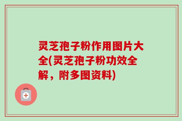 灵芝孢子粉作用图片大全(灵芝孢子粉功效全解,附多图资料)-第1张图片-卓越灵芝孢子粉 灵芝孢子粉作用图片大全(灵芝孢子粉功效全解,附多图资料)-第1张图片-卓越灵芝孢子粉