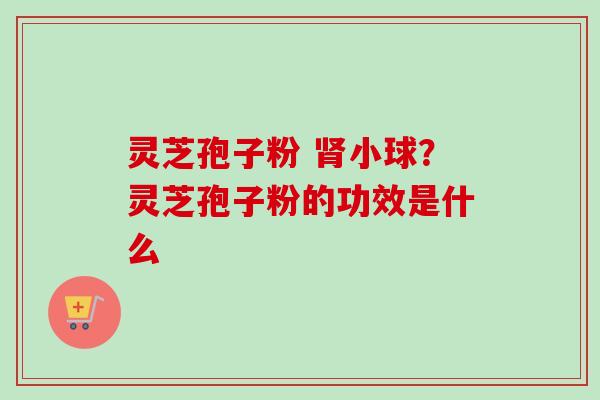 灵芝孢子粉 肾小球?灵芝孢子粉的功效是什么-第1张图片-卓越灵芝孢子粉 灵芝孢子粉 肾小球?灵芝孢子粉的功效是什么-第1张图片-卓越灵芝孢子粉