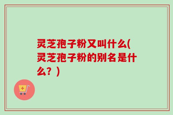 灵芝孢子粉又叫什么(灵芝孢子粉的别名是什么?)-第1张图片-卓越灵芝孢子粉 灵芝孢子粉又叫什么(灵芝孢子粉的别名是什么?)-第1张图片-卓越灵芝孢子粉