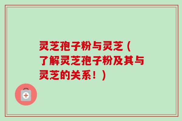 灵芝孢子粉与灵芝 (了解灵芝孢子粉及其与灵芝的关系！)-第1张图片-卓越灵芝孢子粉