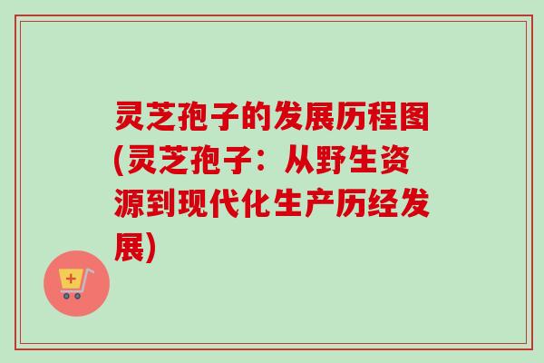 灵芝孢子的发展历程图(灵芝孢子：从野生资源到现代化生产历经发展)-第1张图片-卓越灵芝孢子粉