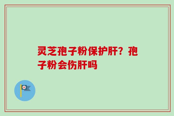 灵芝孢子粉保护肝？孢子粉会伤肝吗-第1张图片-卓越灵芝孢子粉