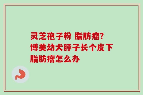 灵芝孢子粉 脂肪瘤？博美幼犬脖子长个皮下脂肪瘤怎么办-第1张图片-卓越灵芝孢子粉