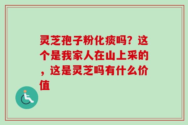 灵芝孢子粉化痰吗？这个是我家人在山上采的，这是灵芝吗有什么价值-第1张图片-卓越灵芝孢子粉