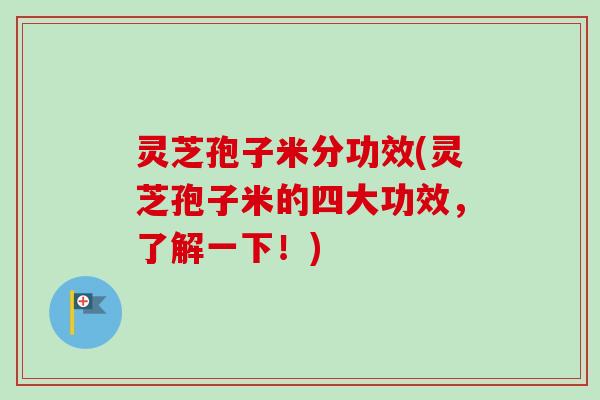 灵芝孢子米分功效(灵芝孢子米的四大功效，了解一下！)-第1张图片-卓越灵芝孢子粉