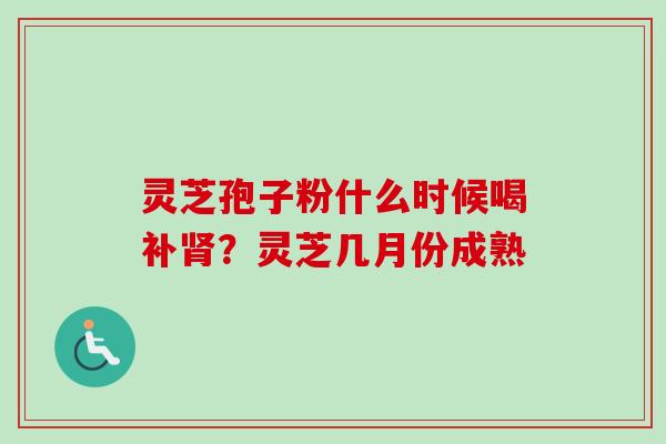 灵芝孢子粉什么时候喝补肾?灵芝几月份成熟-第1张图片-卓越灵芝孢子粉 灵芝孢子粉什么时候喝补肾?灵芝几月份成熟-第1张图片-卓越灵芝孢子粉