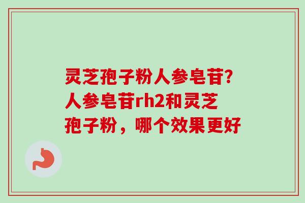 灵芝孢子粉人参皂苷？人参皂苷rh2和灵芝孢子粉，哪个效果更好-第1张图片-卓越灵芝孢子粉