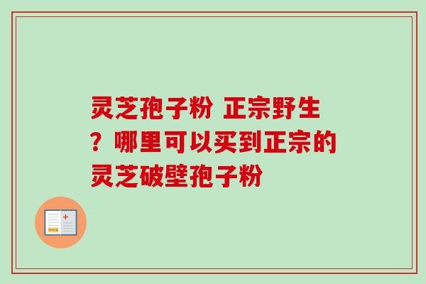 灵芝孢子粉 正宗野生?哪里可以买到正宗的灵芝破壁孢子粉-第1张图片-卓越灵芝孢子粉 灵芝孢子粉 正宗野生?哪里可以买到正宗的灵芝破壁孢子粉-第1张图片-卓越灵芝孢子粉