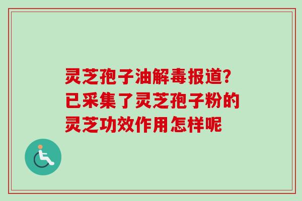 灵芝孢子油解毒报道?已采集了灵芝孢子粉的灵芝功效作用怎样呢-第1张图片-卓越灵芝孢子粉 灵芝孢子油解毒报道?已采集了灵芝孢子粉的灵芝功效作用怎样呢-第1张图片-卓越灵芝孢子粉
