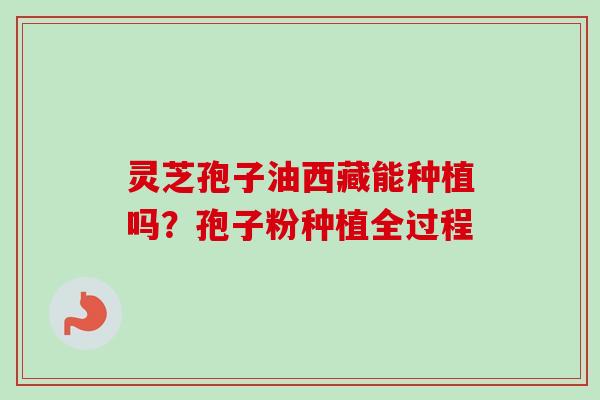 灵芝孢子油西藏能种植吗?孢子粉种植全过程-第1张图片-卓越灵芝孢子粉 灵芝孢子油西藏能种植吗?孢子粉种植全过程-第1张图片-卓越灵芝孢子粉