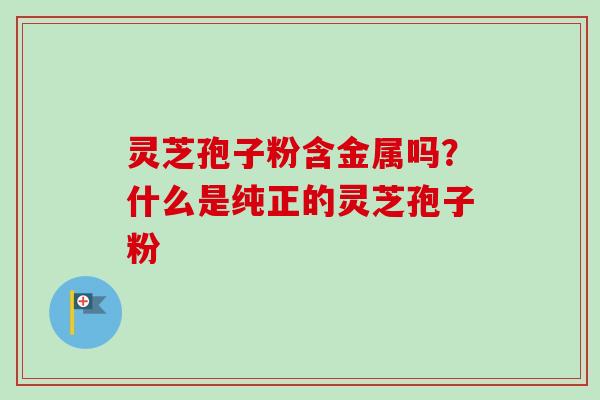 灵芝孢子粉含金属吗?什么是纯正的灵芝孢子粉-第1张图片-卓越灵芝孢子粉 灵芝孢子粉含金属吗?什么是纯正的灵芝孢子粉-第1张图片-卓越灵芝孢子粉