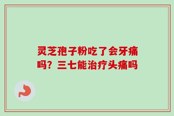 灵芝孢子粉吃了会牙痛吗?三七能治疗头痛吗-第1张图片-卓越灵芝孢子粉 灵芝孢子粉吃了会牙痛吗?三七能治疗头痛吗-第1张图片-卓越灵芝孢子粉